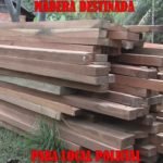 Banda de Shilcayo: Intervienen más de 8 mil pies de madera destinadas a puertas y ventanas de local policial