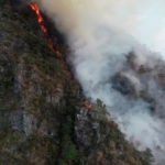 Incendio forestal en la parte alta de Pabloyacu, sector Mishquiyacu