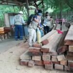 Banda de Shilcayo: Inspeccionan aserraderos para constatar legalidad de madera, algunos cerraron sus puertas
