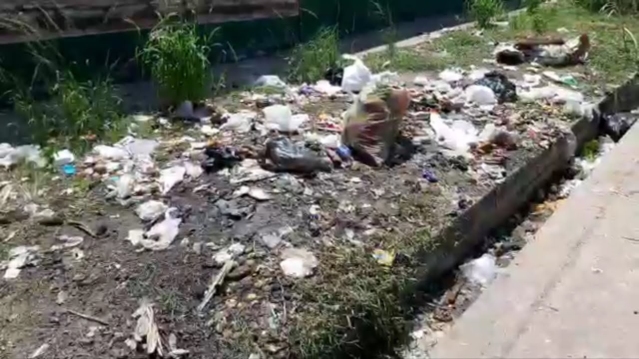 San Martín: Malos vecinos convirtieron en botadero de basura frontis de ...