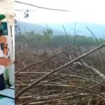 Tarapoto: “Bogarín nunca apoyó cuidado de áreas de conservación, sin embargo, asegura dejar una región verde”
