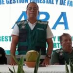 Tarapoto: Más mobiliario escolar se construirá con madera decomisada, son 5 mil pies tablares usadas hasta el momento