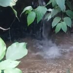 Lamas: Pobladores denuncian que quebrada Mishquiyacu podría desparecer, caudal disminuyó luego de autorización de ANA
