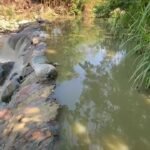 Tarapoto: Vecinos amenazan con cerrar canal de riego por donde discurren aguas servidas y con las que riegan sembríos