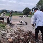 Banda de Shilcayo: Recogen más de 3 toneladas de basura arrojada por irresponsables en nueva vía de Evitamiento
