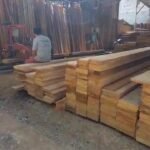 Banda de Shilcayo: Realizan operativo preventivo para verificar que aserraderos tengan licencia y guías forestales