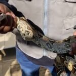 Tarapoto: Serpiente «Mantona» es inofensiva, se alimenta de roedores y aves de corral
