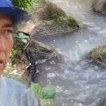 Banda de Shilcayo: Poblador exige detener contaminación de quebrada Choclino provocada por granjas de cerdos