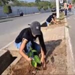 San Martín: Reforestan con plantas ornamentales ciclovía del distrito de la Banda de Shilcayo