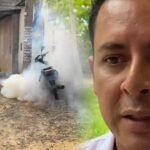 San Martín: Sector Salud analiza nueva cepa del zancudo transmisor del dengue que estaría afectando a niños