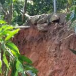 La Banda de Shilcayo: Familias de Nueva Esperanza viven con miedo, sus casas están a punto de caer por deslizamiento de barranco