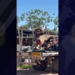 La Banda de Shilcayo: Intervienen local donde almacenaban cueros de ganado vacuno