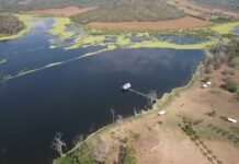 Tarapoto: Audiencia de acción de amparo por Ricuricocha se realizará este 29 de octubre, Ecoguerrero invita a plantón