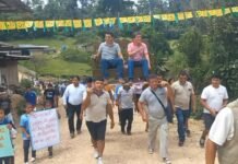 San Martín: Alcalde de Bellavista es llevado en anda durante inauguración de carretera vecinal en el Bajo Biavo