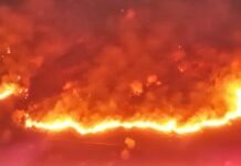 San Martín: Incendio forestal devora 25 hectáreas en Rumisapa, rápida acción evitó una tragedia mayor