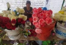 Tarapoto: Floristas se preparan para el Día de los Santos, hay ramos desde S/ 5