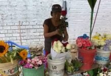 San Martín: Vendedoras de flores de cementerio de Tarapoto denuncian desalojo y cobros arbitrarios por parte de municipalidad