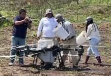 Tarapoto: Lanzan campaña 2025 de restauración de bosques amazónicos afectados por incendios forestales