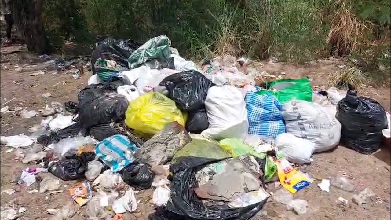 Tarapoto: Basura acumulada por varios días causa malestar en vecinos ...