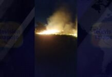 San Martín: Incendio forestal afecta caserío de Aucaloma y otras zonas
