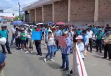 Tarapoto: Docentes y trabajadores de la UNSM realizan plantón en demanda de atención a beneficios y salarios