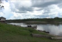 San Martín: San Martín no aplicará la llamada “Ley Antiforestal”, la misma se circunscribe únicamente a la región