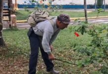 Tarapoto: Trabajadores de parques y jardines anuncian paralización por falta de pago