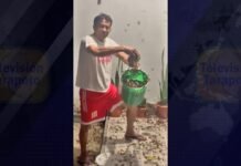 Morales: Lluvia de mamacos sorprende a vecino quien recogió tres baldes de hormigas comestibles