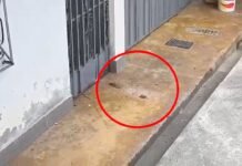 San Martín: Explosión de artefacto pirotécnico genera alarma en el sector Venecia de La Banda de Shilcayo