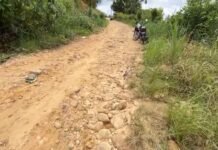 Tarapoto: Vecinos del jirón Tulumayo paralizan retiro de tierra y exigen mantenimiento urgente de la vía