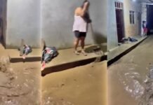 Tarapoto: Luego de 13 años, desborde del río Shilcayo inunda viviendas en el sector Puerto Azul