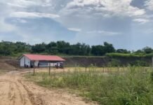 Tarapoto: Padres de familia de I.E. N° 1383 de Nueva California exigen módulos y servicios básicos