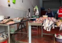 San Martín: Intensifican operativos de control en la venta de pescado por Semana Santa en Tarapoto