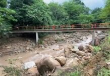 Tarapoto: Puente peatonal es clausurado de forma preventiva tras erosión en sus bases