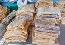 Tarapoto: Precio de pescado seco se mantienen estable previo a Semana Santa
