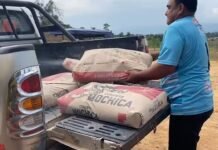 Tarapoto: Empresario dona cemento para mejorar y ampliar infraestructura de colegio en Nueva California