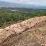 Tarapoto: Ecoguerrero denuncia deforestación en terreno de ingreso a Cordillera Escalera