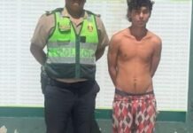 San Martín: Capturan a presunto autor de hurto de mototaxi en Morales