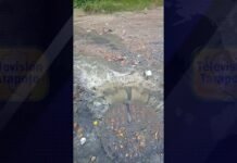 Tarapoto: Vecinos de Villa Universitaria exigen solución urgente por colapso de desagües