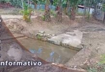TARAPOTO NOTICIAS Avance Informativo Miércoles 20 mayo del 2026