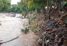 Tarapoto: Vecinos de Puerto Azul confirman ejecución de defensa ribereña para fines de julio