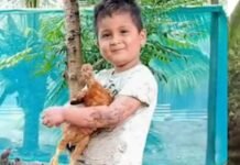 Tarapoto: Niño de 4 años logra sobrevivir tras caer en piscigranja, abuelo señala que es un milagro