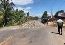 Tarapoto: Transportistas de la zona sur señalan que respaldan paro agrario pese a pérdidas económicas