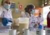 San Martín: Realizan operativo para verificar la calidad del servicio alimentario a niños de colegios