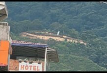 Tarapoto: Ecoguerrero cuestiona falta de acciones ante presunta deforestación en zona cercana a Cordillera Escalera