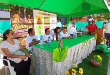 La Banda de Shilcayo: Festival del Juane Amazónico Sabor Bandino 2026 presenta diversas actividades sanjuaneras