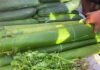 San Martín: Mercados de Tarapoto se llenaron de compradores en vísperas de la Fiesta de San Juan