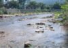 Morales: Solicitan más contenedores para proteger río Cumbaza, esperan más de 20 mil visitantes para San Juan