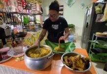 San Martín: La tradición de San Juan une culturas: venezolana adopta y promueve el avispa juane en Tarapoto