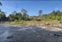 San Martín: San Antonio de Cumbaza se alista para recibir entre 5 mil y 10 mil visitantes por San Juan